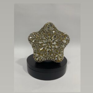 ABD0034 Gold Star